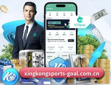 xingkong数据看板 APP 深度功能