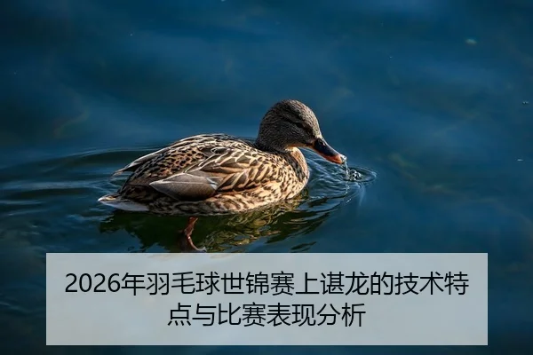 2026年羽毛球世锦赛上谌龙的技术特点与比赛表现分析