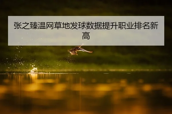 张之臻温网草地发球数据提升职业排名新高